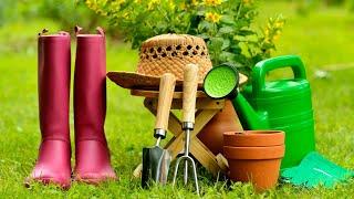 Save 90% with 13 Garden Finds at The Thrift Store