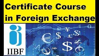 Certificate Course in Foreign Exchange| IIBF 2024 | REMOTE PROCTORED EXAMS| IIBF| CERTIFICATE EXAMS