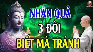 Nhân Quả 3 Đời Ai Hiểu Được Nên Tránh Bớt Nghiệp Quả Xấu - Lời Phật Dạy