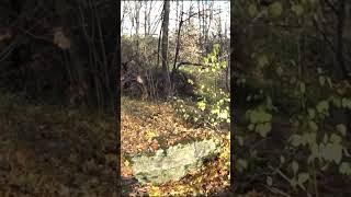 склепы на еврейском кладбище