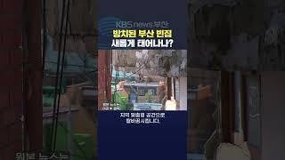 2024.11.21 #빈집 #정비 #재건축 방치 안전사고 무허가 건물 주거단지 주택사업 김아르내기자