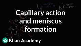 Capillary action and why we see a meniscus | Chemistry | Khan Academy