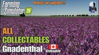 OLD VIDEO ! Collectables Gnadenthal | Warning! Needs an update| FS25 | Console | All 50 Collectables