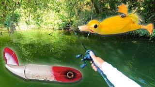 SILURE DANS MES PALMES AU WHOPPER PLOPPER & SUICIDE DUCK !