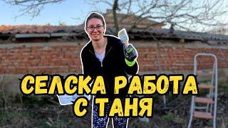 Селска работа с Таня | Живот на село | Милчеви БГ