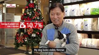 Royalcanin SATIETY trial in KR