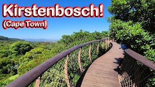 S1 – Ep 252 – Kirstenbosch National Botanical Garden – At the Foot of Table Mountain!