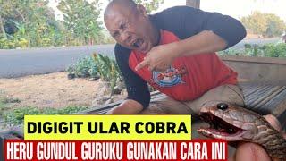 DIGIGIT ULAR COBRA HERU GUNDUL GURUKU LAKUKAN CARA INI