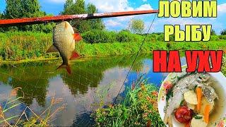 Друзья отправили НАЛОВИТЬ РЫБЫ на УХУ. Рыбалка на экраны.