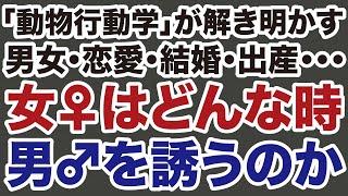 【動物行動学が解き明かす】女はいつ男を誘うのか？【デイリーWiLL】