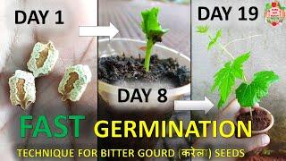 करेले के बीज कैसे लगाएं | How to Germinate Bitter Gourd Seeds| Karele Ke Beej Kaise Lagaye easy way