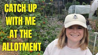 Allotment Break: Catching Up on Gardening Progress