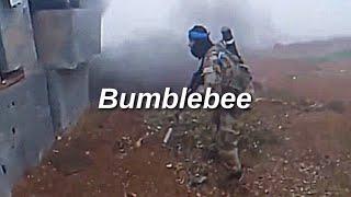 Bumblebee