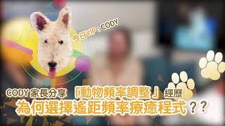 動物頻率調整～為何選擇遙距頻率療癒程式（Cody家長分享）#頻率調整#動物頻率#頻率檢測#遙距治療#毛小孩