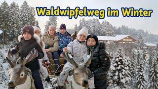 Waldwipfelweg im Winter @tripletsveits