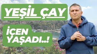 YEŞİL ÇAY NEDİR NE İŞE YARAR YEŞİL ÇAY NASIL DEMLENİR  YEŞİL ÇAY NE ZAMAN İÇİLİR ÇAYIN FAYDALARI