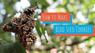 How to Make Bird Seed Cookies