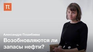 Происхождение нефти — Александра Пошибаева