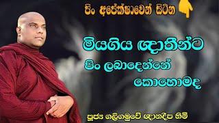 මියගිය ඥාතීන්ට පිං ලැබෙන නිවැරදි ක්‍රමය| Ven.Galigamuwe Gnanadeepa thero  #අමාදම්සර