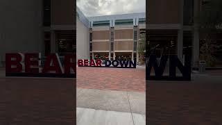 Bear Down Arizona