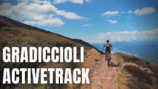 Gradiccioli Activetrack - DJI Air 2s