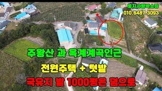 매물번호 1007) 청송옥계계곡 근처 전원주택과 텃밭 312평#주왕산#계곡#유실수밭