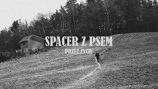 Spacer z psem (artystyczny film)