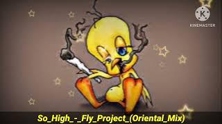 Dj So High Fly Project Oriental Mix || Dj Nisa Mixing 2023 || Dj Fizo Faouez || Dj Fizo Remix 2023