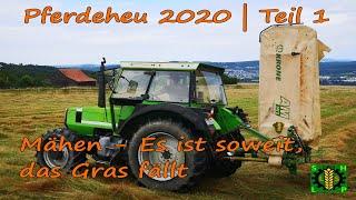 Pferdeheu 2020 | Teil 1 | Mähen - Es ist soweit, das Gras fällt