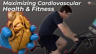 How to Maximize Cardiovascular Health & Fitness | Ft: Yesoul Exercise Bike, Rowing Machine&Treadmill