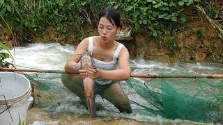 Amazing Fishing Trap - Unique Fish Trapping System Catch Lots of Fish - Fishing techniques