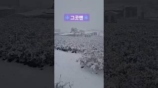 감사한일상️