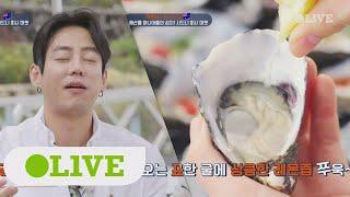 One Night Food Trip 2018 한국 굴이랑은 다르다고? 크림처럼 부드러운 호주 굴! the love 180307 EP.2