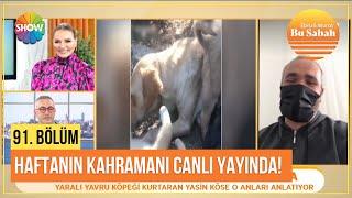 Yaralı yavru köpeği kurtaran haftanın kahramanı Yasin Köse canlı yayında o anları anlatıyor!