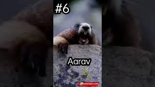 Tag To Aarav (Tag Your Name) #name #short #ytshort