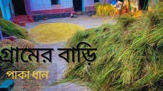 গ্রামের বাড়ি ধানের সময়ে |Village life |199 to 2024|Countryside| Bangladesh|Sanjida Rahman Soumik