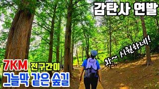  지하철역과 바로 연결! 숲이 울창해서 2인 이상 함께 방문을 권한다는 수도권 최고의 트레킹 코스를 소개합니다^^ 방문자 만족도9.75점