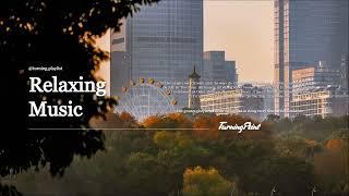 𝐏𝐥𝐚𝐲𝐥𝐢𝐬𝐭    따뜻한 오후의 햇살 아래 잔잔하고 편안한 음악 | Relaxing Music