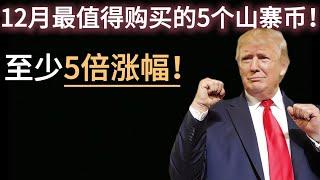 12月最值得购买的5个山寨币，深度分析至少5倍涨幅！