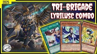 Tri-Brigade Deck With Lyrilusc Combo - PC Gameplay JAN 2025 - Yugioh Duel Links