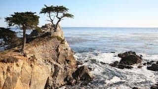 Monterey, Carmel and 17 Mile Drive Day Trip from San Francisco