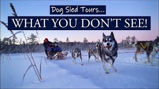 Dog Sled Tours | WHAT YOU DON'T SEE! Life behind...