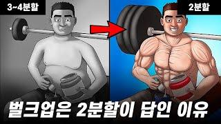 직장인은 2분할로 운동해야 몸이 빠르게 커지는 이유