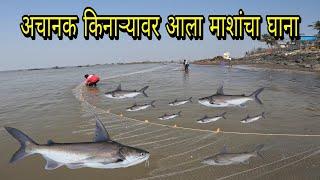 अचानक किनाऱ्यावर आला माशांचा खजाना. रापण मासेमारी. Parsan net fishing. Mumbai Indian fishing