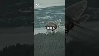 How Do Anti-Missile Flares Work?