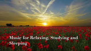 Relaxing with Soft Music - Instrumental Music for Study, Coffee, Sleeping 【T58 Studio】