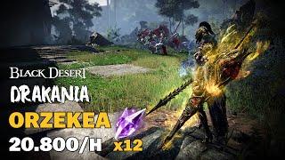 BDO | Orzekea - Drakania Awakening - Exclusive PvE Combo Addons | 20.800 Trash Hour |