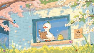 Lo-fi Beats for Reading & Relaxing  Spring Vibes | Ducky Boo Morning Chill