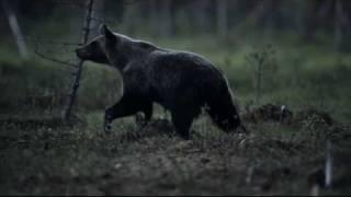 Vincent Munier - Summer Variations - Nikon D3s