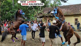 LATBER KUDA JINGKRAK HEBAT DESA KALIGESING KEC.KUTOARJO KAB.PURWOREJO